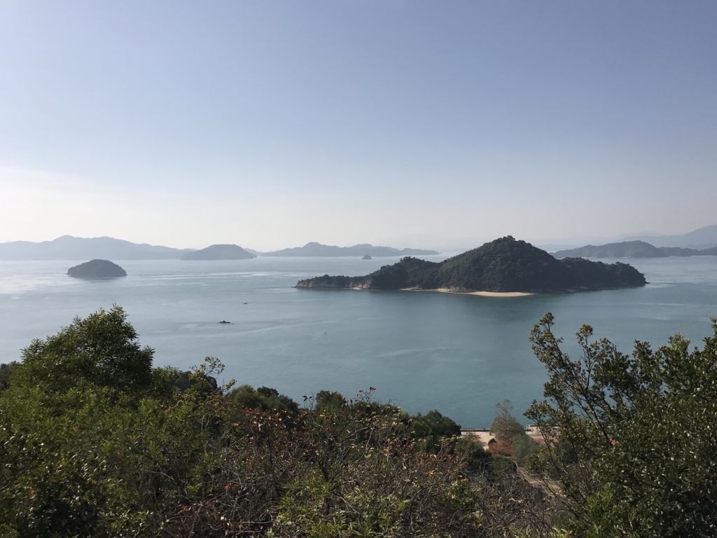 11月のうさぎ島(大久野島)展望台よりグランドへ 途中で撮影 11月のうさぎ島(大久野島)展望台よりグランドへ 途中で撮影