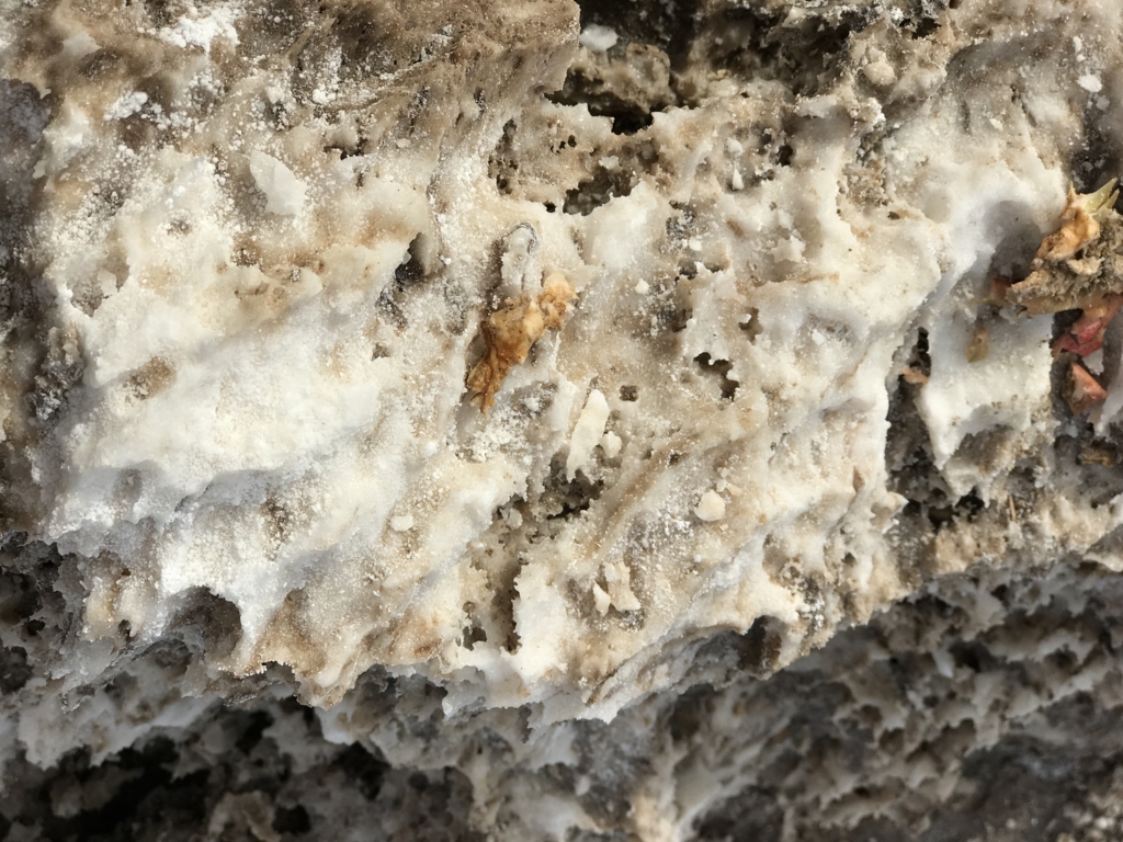 デスバレー国立公園 Devilis Golf Course 塩の塊UP デスバレー国立公園 Devilis Golf Course 塩の塊UP