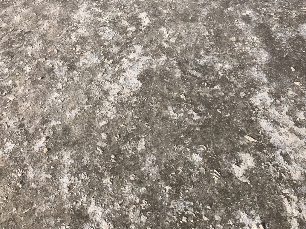 デスバレー国立公園 Bad Water 塩の道 UP デスバレー国立公園 Bad Water 塩の道 UP