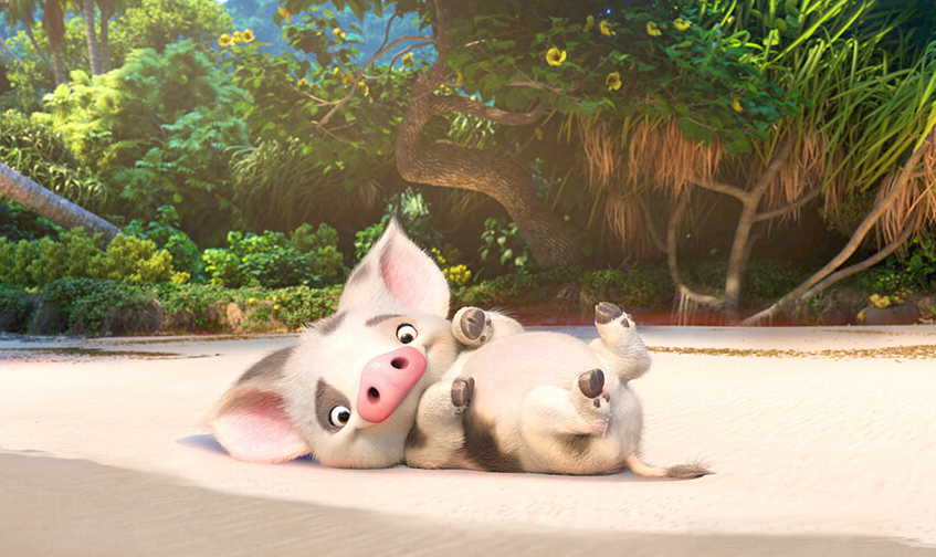 「モアナと伝説の海」プア by www.disney.co.jp 「モアナと伝説の海」プア by www.disney.co.jp