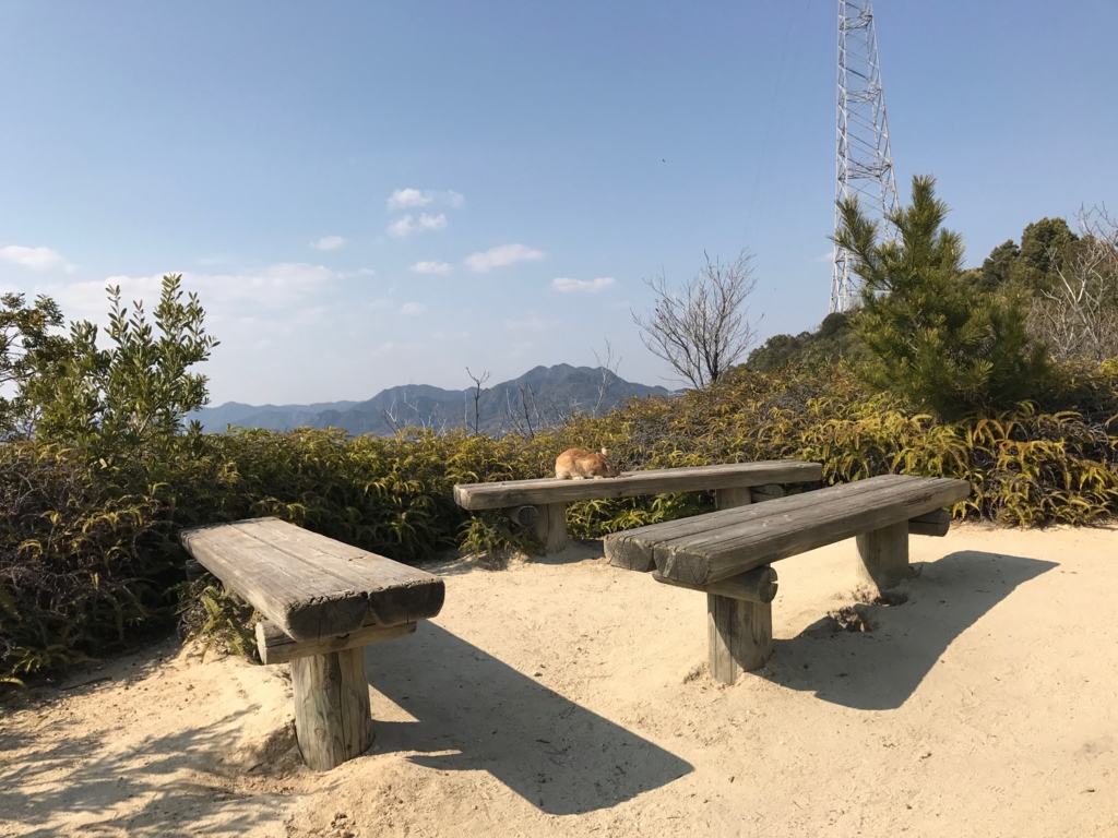 広島県 うさぎ島（大久島）展望台 からの 道 （険しい道）ベンチ うさぎさんとお別れ