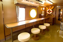 観光快速列車「瀬戸内マリンビュー」自由席 カウンター席 観光快速列車「瀬戸内マリンビュー」自由席 カウンター席