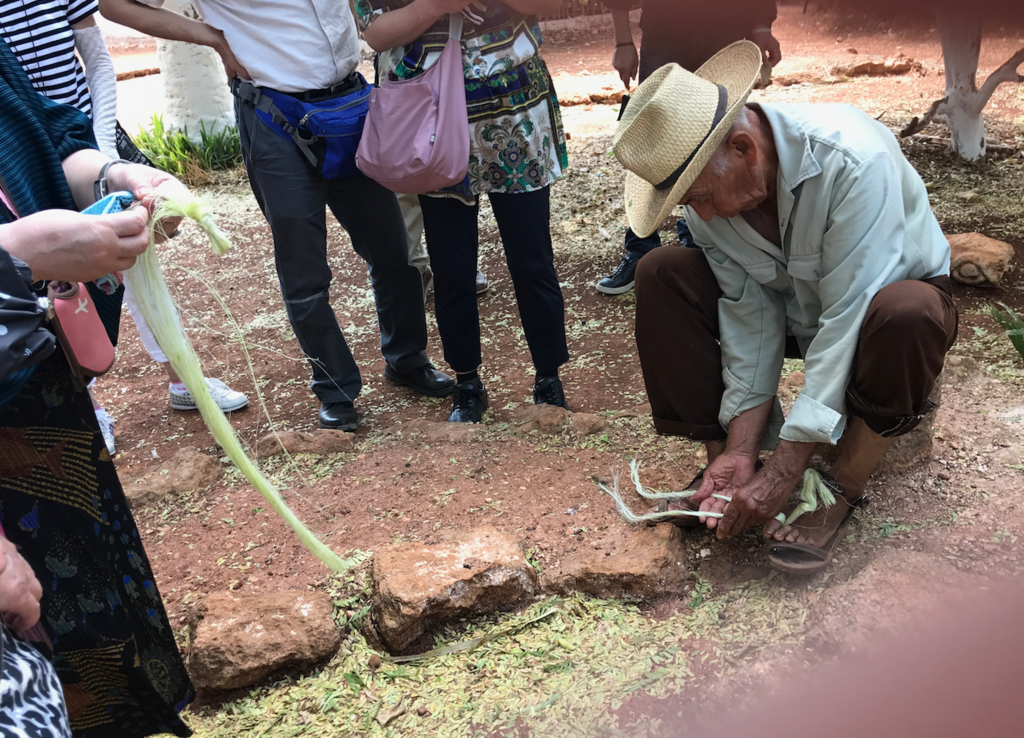 メキシコ サンタ・エレーナ村 マヤ人末裔の方の家 サボテンから繊維 繊維だけに