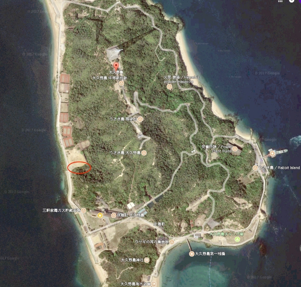うさぎ島（大久野島）マップ 紫陽花は、グラウンド付近に