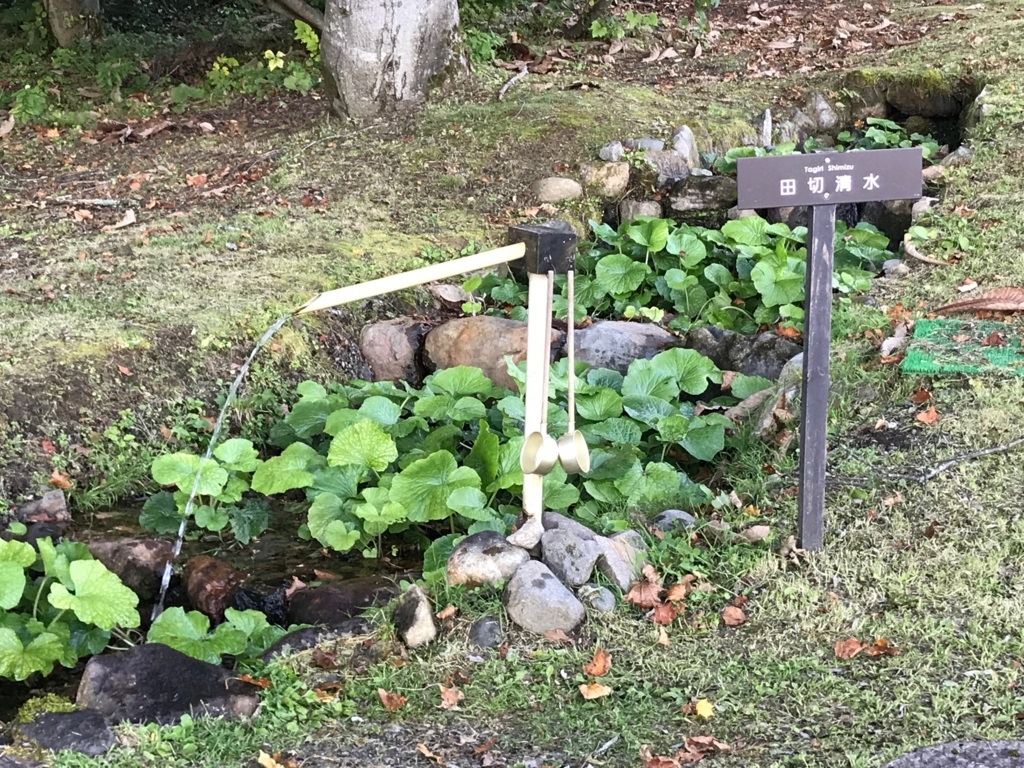 妙高高原 赤倉温泉 「赤倉観光ホテル」妙高山側 わさびガーデン 妙高山の湧き水