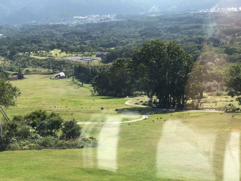 妙高高原 赤倉温泉 「赤倉観光ホテル」野尻湖側広場 朝 沢山のろ鳥達