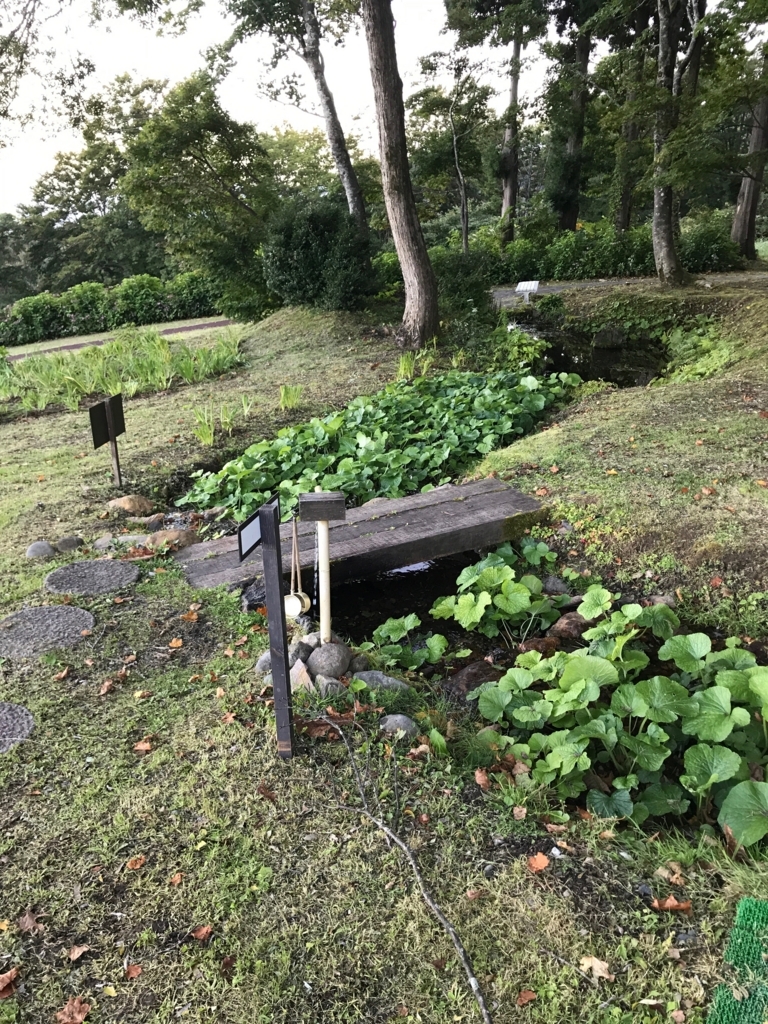 妙高高原 赤倉温泉 「赤倉観光ホテル」妙高山側 わさびガーデン