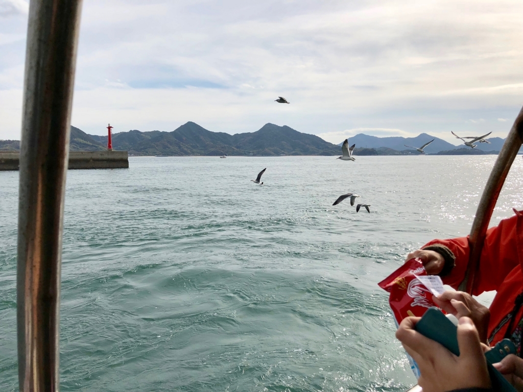 三原港からうさぎ島へ「ラビットライン」走行中 追ってくるカモメ 須波港周辺