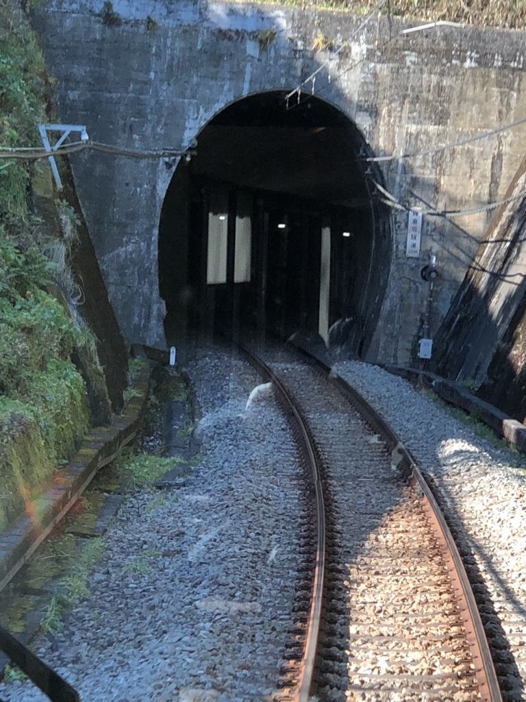 西武鉄道『西武 旅するレストラン「52席の至福」』車窓 単線 トンネル