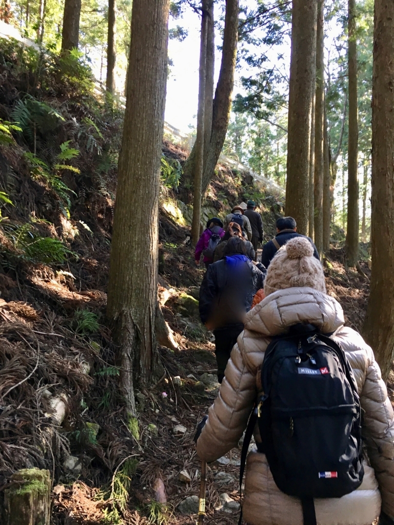 熊野古道 中辺路 「牛馬童子像」へ800mの道 ハイキングスタート 上り道