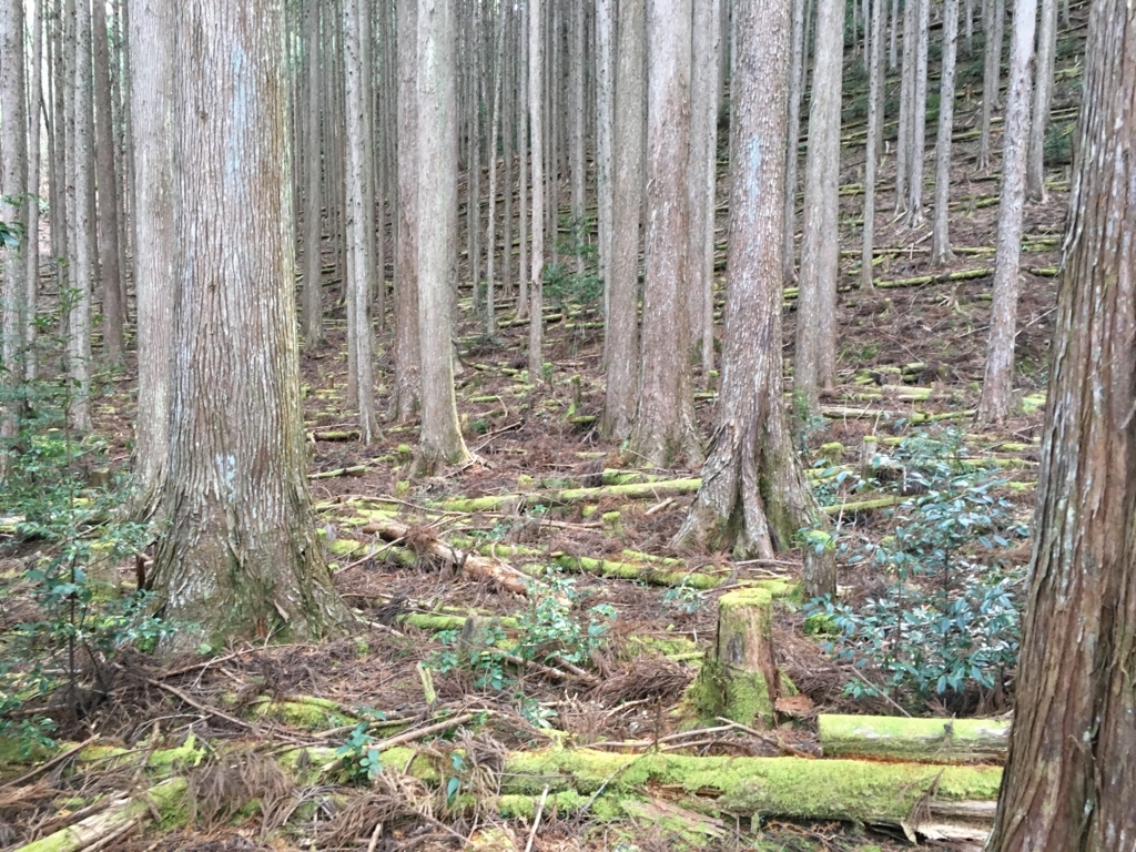 熊野古道 中辺路 66〜67