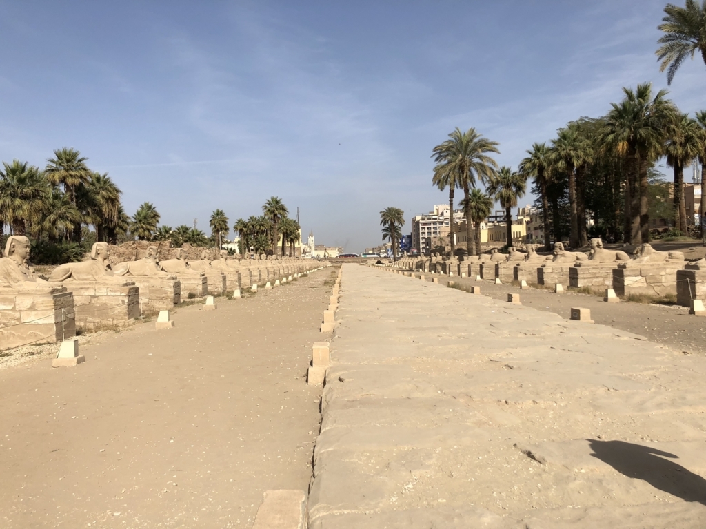 エジプト ルクソール東岸 ルクソール神殿 スフィンクスの参道