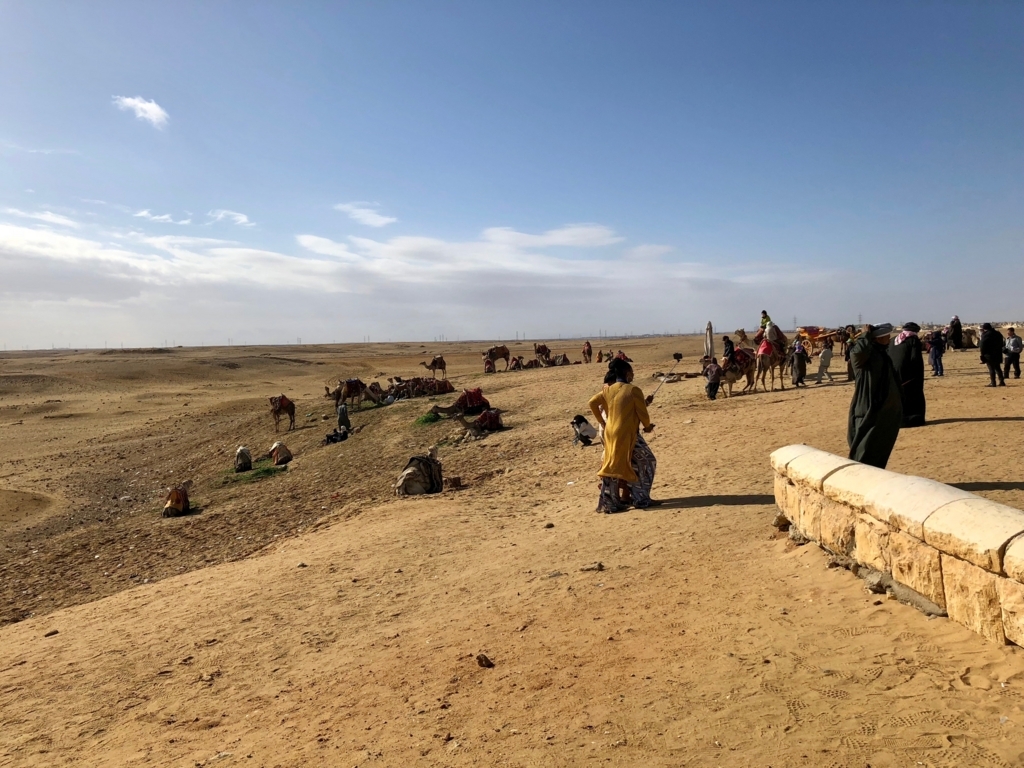 エジプト ギザ 3大ピラミッド「パノラマポイント」 たくさんのラクダさん