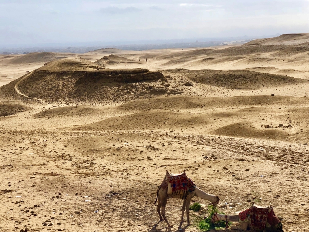 エジプト ギザ 3大ピラミッド「パノラマポイント」 周囲の風景風景