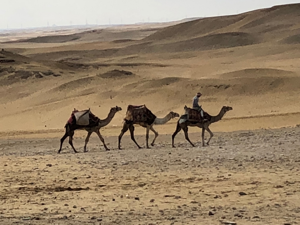 エジプト ギザ 3大ピラミッド 周囲の砂漠を満喫１日目 パノラマポイント で記念撮影 すぐ側にギザの街並み 空飛ぶおばさん旅日記 壱