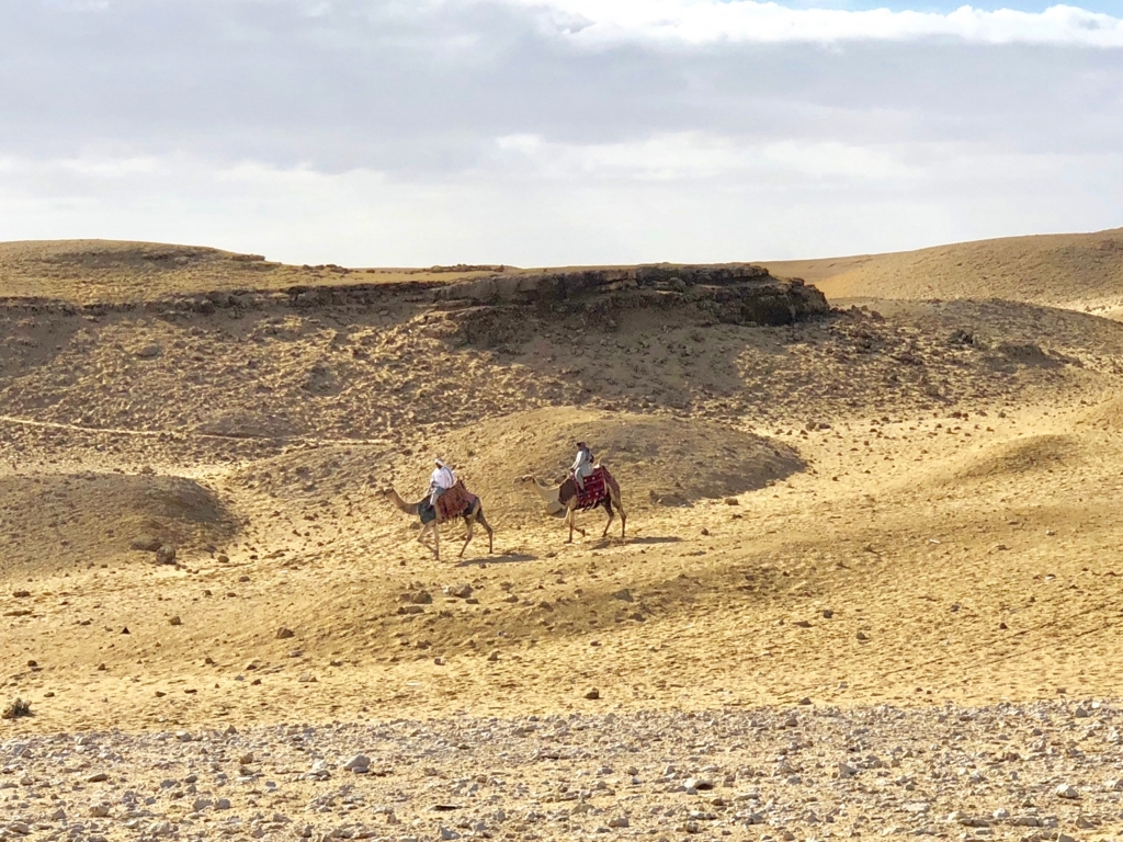 エジプト ギザ 3大ピラミッドから「パノラマポイント」へ移動中 ラクダで移動される方も