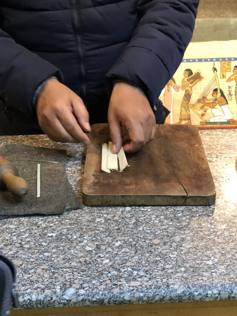 エジプト ギザ パピルス店「Aegyptus Papyrus」パピルス作り 実演中 剥いで叩く