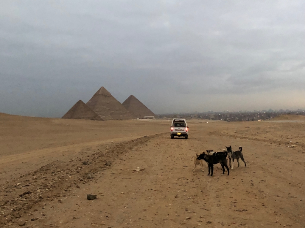 エジプト ギザ 3大ピラミッド 夜明け近く 車に先導されて セカンドパノラマへ