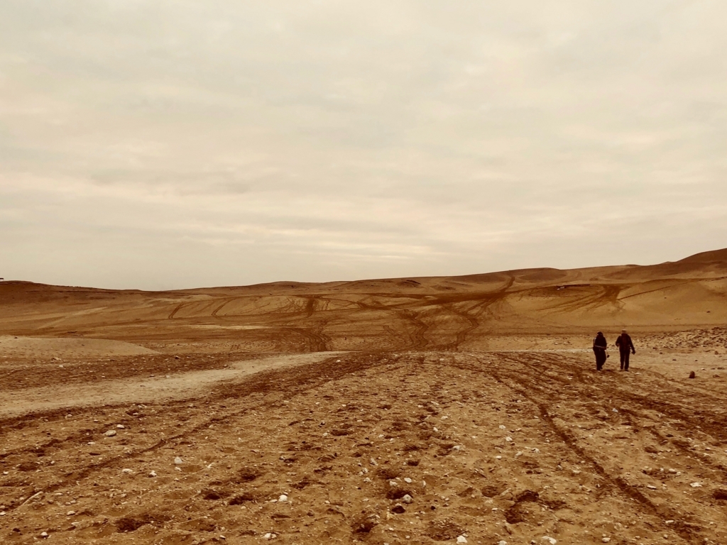 エジプト ギザ 3大ピラミッドエリア 夜明け直後 砂漠を縦