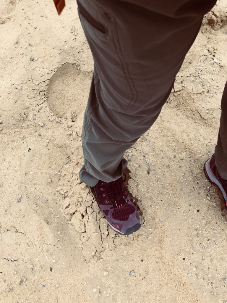 エジプト ギザ 3大ピラミッドエリア 夜明け直後 砂漠の砂 昨日は雨