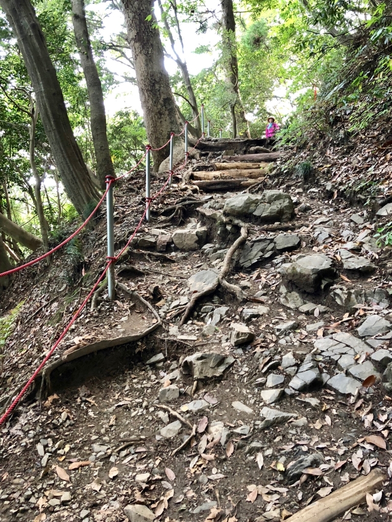 2018年5月 高尾山 6号路 岩が... 木の根が... 路が崩れて... 毛虫が...
