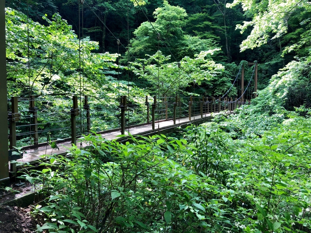 2018年5月 高尾山 4号路 吊り橋