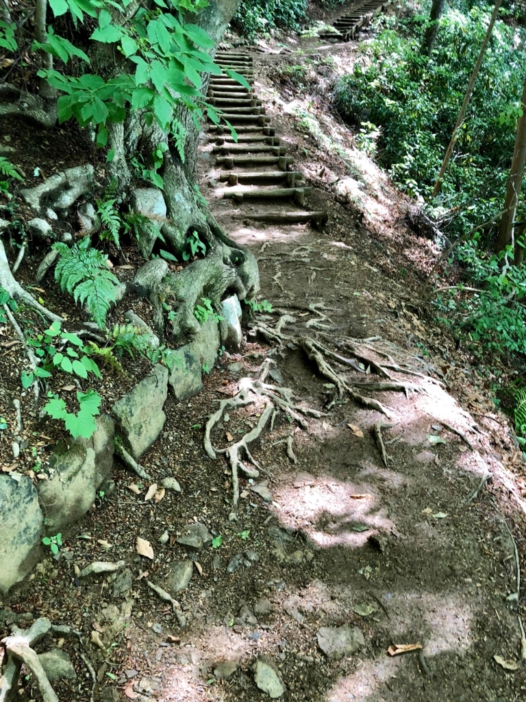 2018年5月 高尾山 4号路 山道
