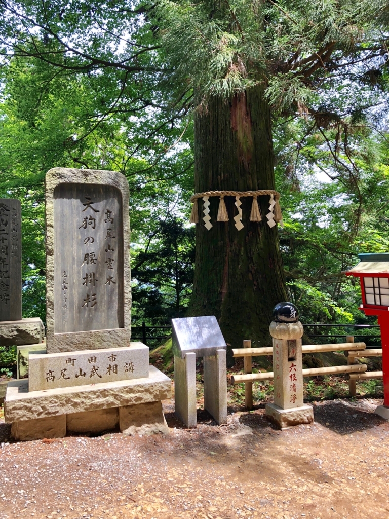 2018年5月 高尾山 薬王院参道 天狗の腰掛杉 2018年5月 高尾山 薬王院参道 天狗の腰掛杉