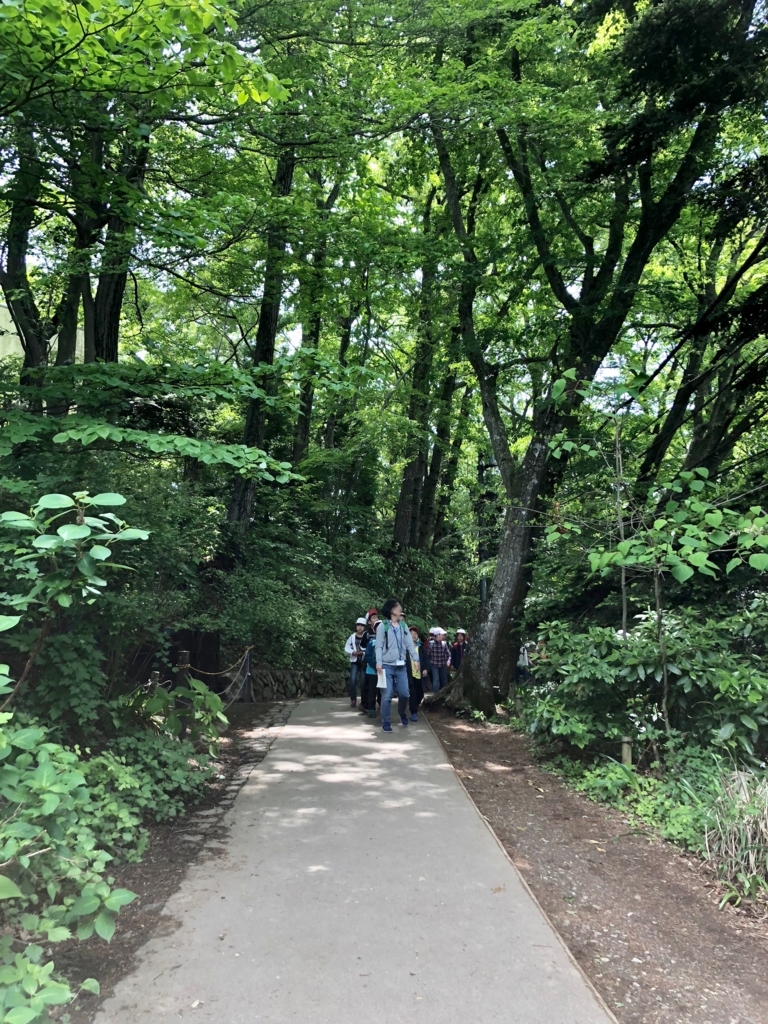 2018年5月 高尾山 薬王院 から 山頂への 上り坂 2018年5月 高尾山 薬王院 から 山頂への 上り坂