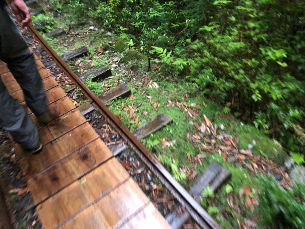 2018年5月後半 屋久島「縄文杉トレッキング」狭いトロッコ道 すれ違いの枕木に注意