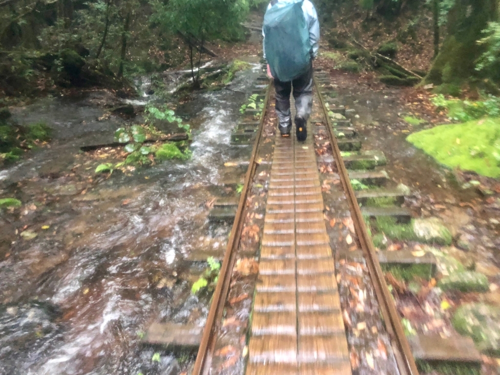 2018年5月後半 屋久島「縄文杉トレッキング」復路 トロッコ道 両脇には 雨でできた綺麗な流れ