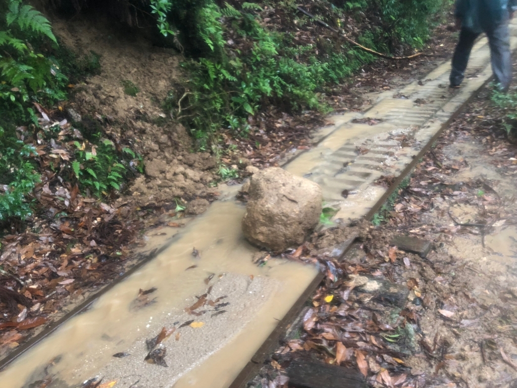 2018年5月後半 屋久島「縄文杉トレッキング」復路 トロッコ道 大雨で道に崩れも