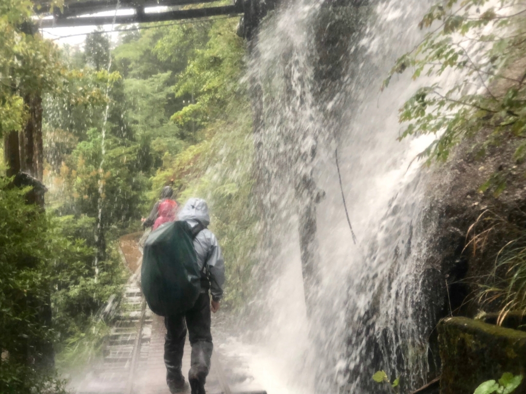 2018年5月後半 屋久島「縄文杉トレッキング」復路 トロッコ道 大雨で上から水の流れが直撃