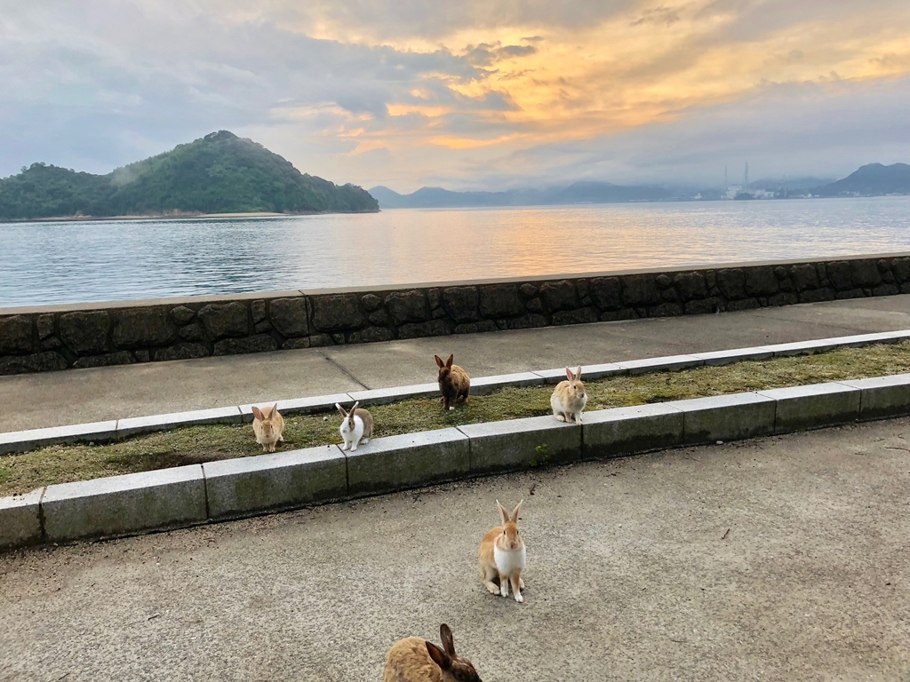 2018年6月うさぎ島（大久野島）雨降りの夕日