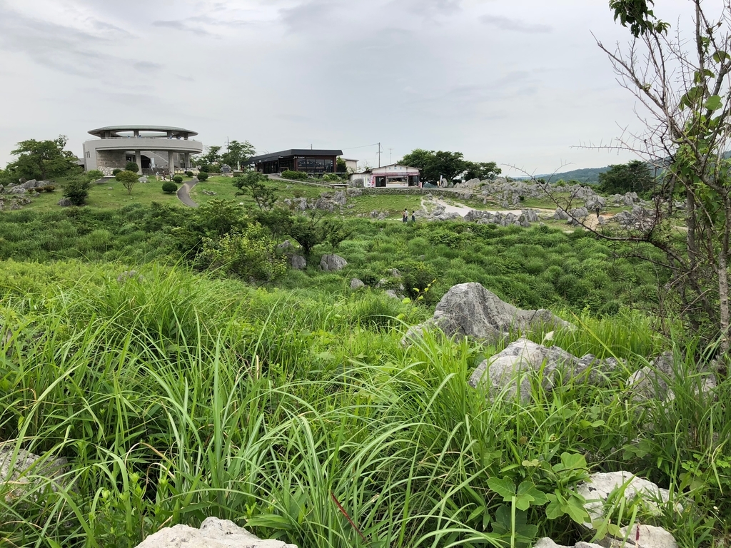 山口県秋吉台国定公園 秋吉台 循環バス 秋吉台 天然記念物 記念碑 から 展望台方面風景