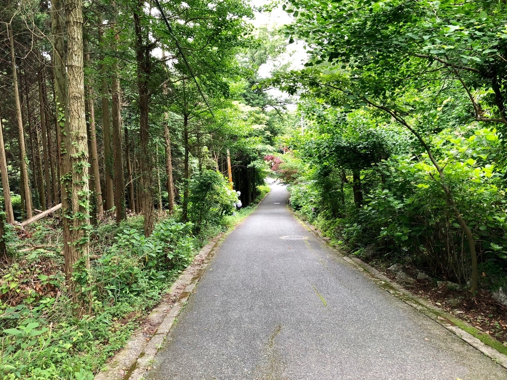 山口県秋吉台国定公園 秋吉台 秋芳洞 エレベータへの道 続く下り坂