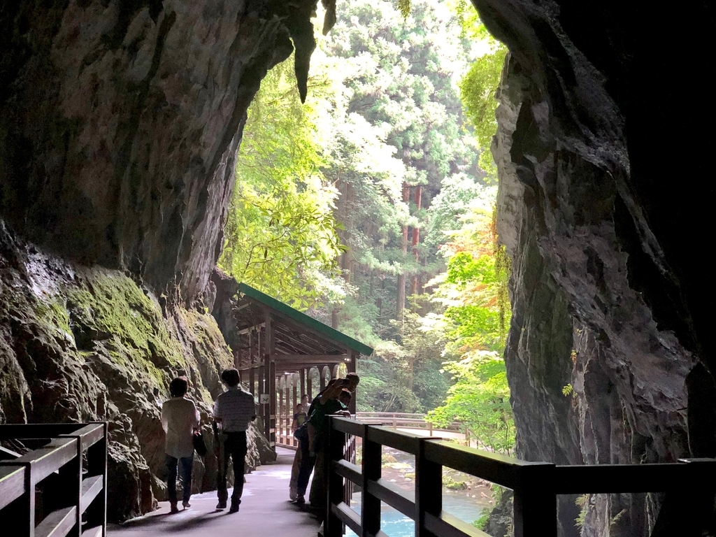 山口県秋吉台国定公園 秋芳洞 正面入口