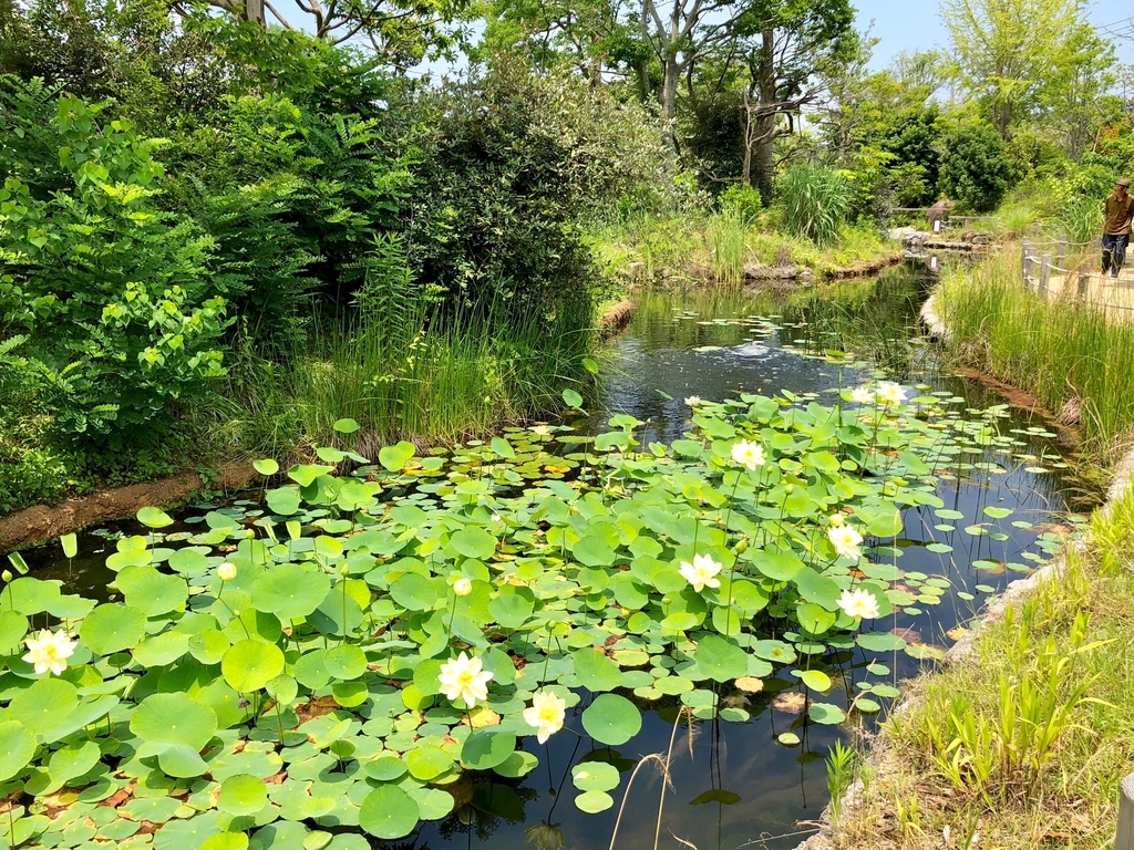 山口県宇部市「ときわ動物園」アジア森林ゾーン