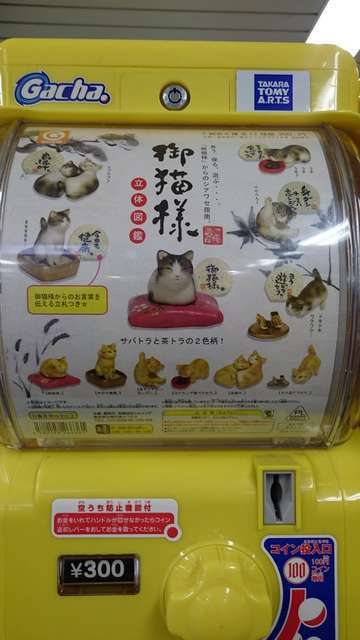 f:id:rarasongjing:20161107211112j:plain