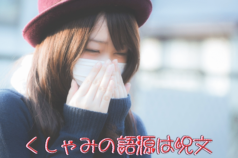 面白い語源選 ゴキブリ は ごきかぶり の脱字から 美女が書く笑えるブログ 面白い語源選 ゴキブリ は ごきかぶり の脱字から 美女が書く笑えるブログ