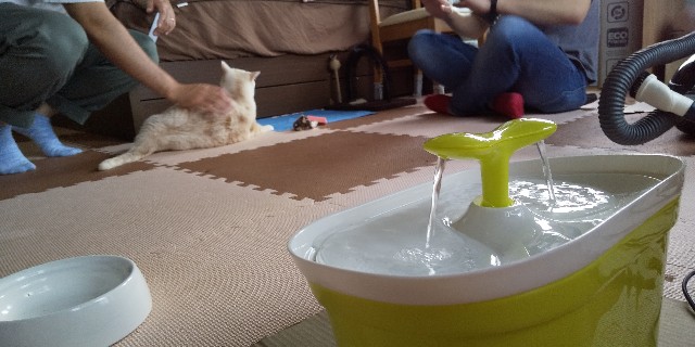f:id:rarigooo:20200513133332j:image