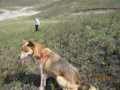 20100502143721