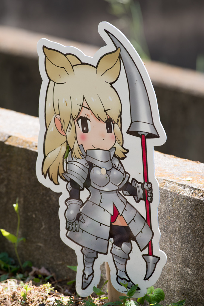  (31) シロサイ