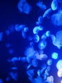 20131206115005