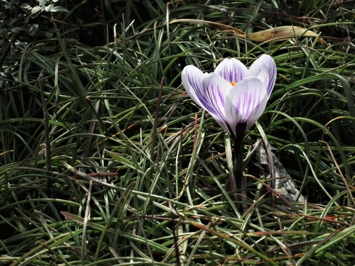 f:id:raruka:20190322150530j:plain:w400:h300 f:id:raruka:20190322150530j:plain:w400:h300