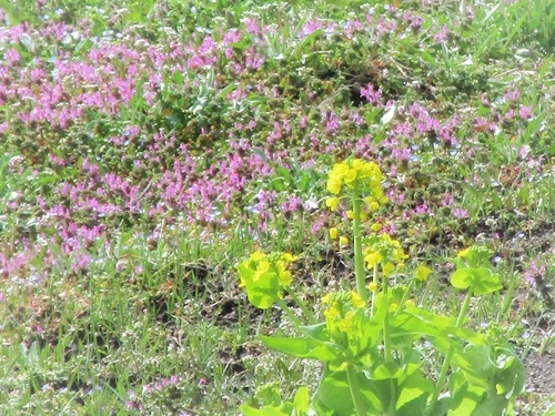 f:id:raruka:20190322150539j:plain:w300:h250 f:id:raruka:20190322150539j:plain:w300:h250
