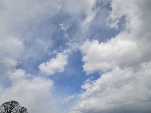 f:id:raruka:20190331132727j:plain:w300:h250 f:id:raruka:20190331132727j:plain:w300:h250