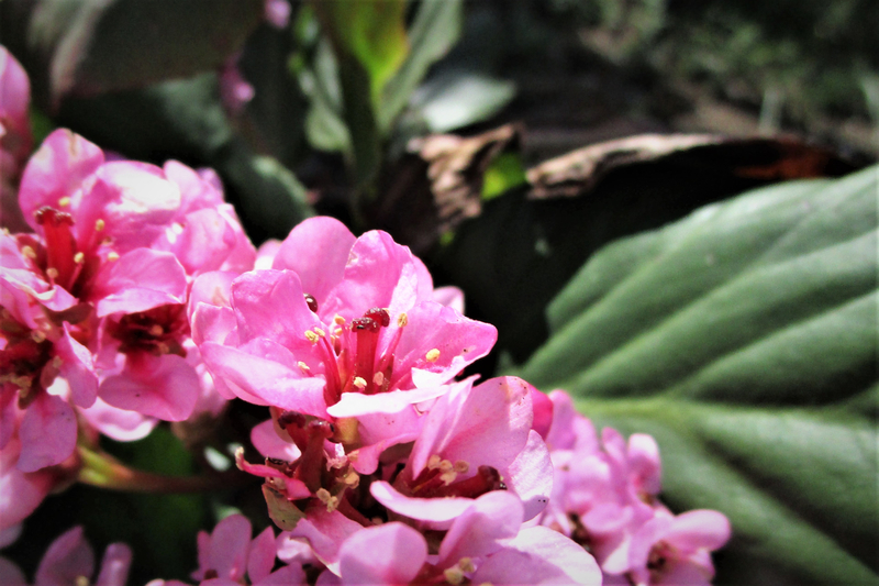f:id:raruka:20190420144429j:plain:w550:h367 f:id:raruka:20190420144429j:plain:w550:h367