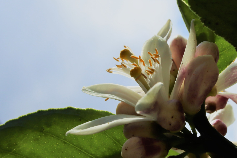 f:id:raruka:20190505145316j:plain f:id:raruka:20190505145316j:plain