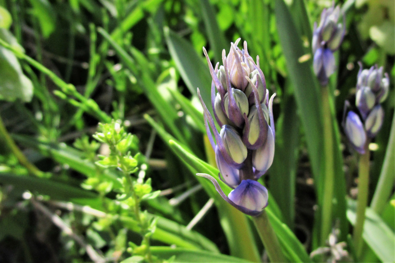 f:id:raruka:20190506143245j:plain f:id:raruka:20190506143245j:plain